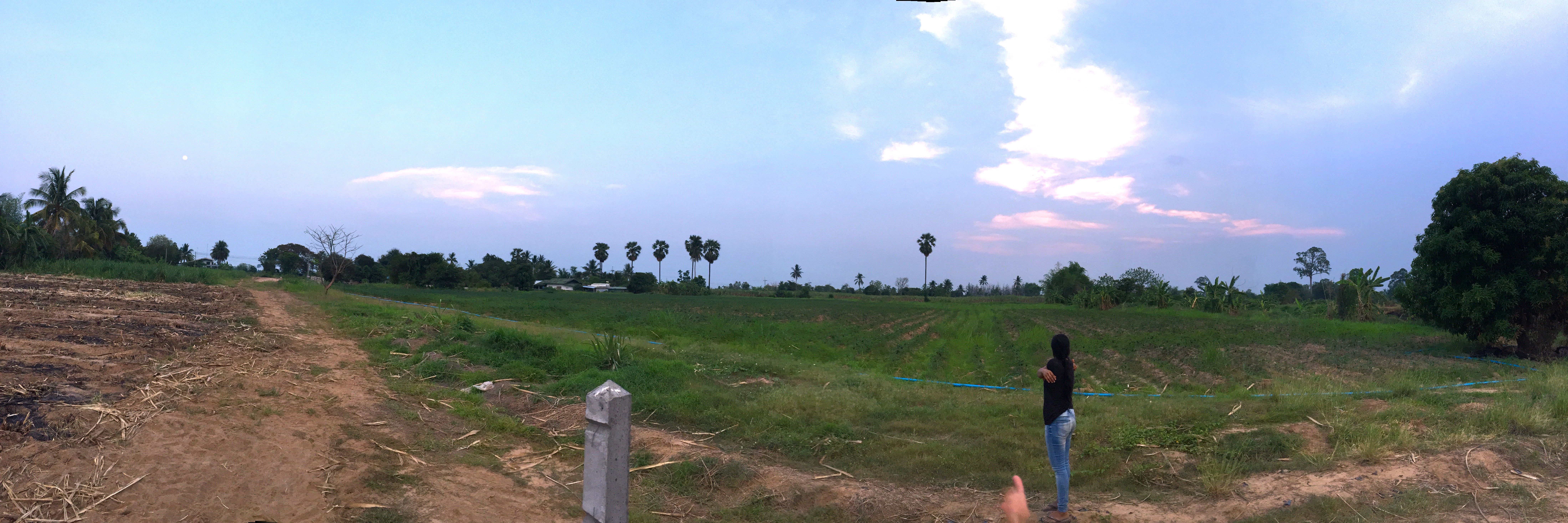 ประวัติความเป็นมา - 1